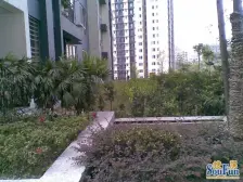 房子以满2年,房子是商品房,楼层好