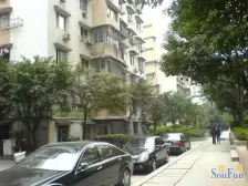 玛瑙苑 2室1厅 东南