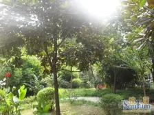 轻轨80街后堡公园旁正规两室一厅户型方正采光