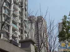 近地铁 中间楼层,精装,电梯房,业主诚意