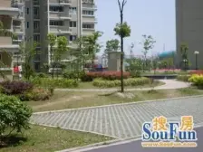 张江南精装一房,视野采光好,18号线地铁960米