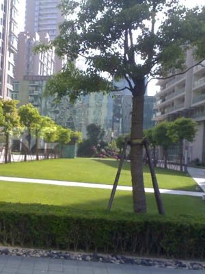 小区相关图
