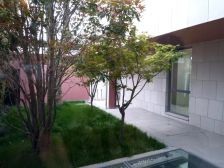 低密度洋房 业主诚意出售 随时可看