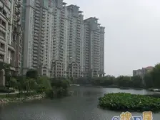 世茂湖滨花园(别墅) 4室2厅 南