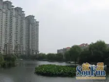 业主套现急售价格可谈空间很大小区很少的边套户型