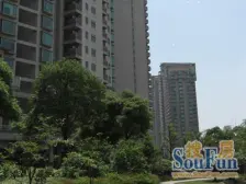 碧云大横厅别墅,月底空出,看房提前预约,可以长租