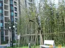 中原·盛世豪园(一期)·2室·1厅