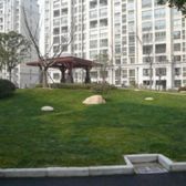 南北两房,中高楼层,视野好,看房方便