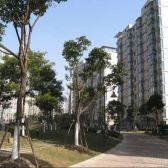 三林·中房樱桃苑·3室·2厅