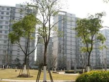 三林标杆小区 一梯一户 全人车分流 靠河位置 中高区