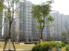 三林·中房樱桃苑·3室·2厅