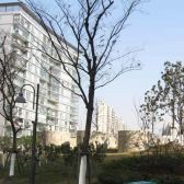 电梯房,大开间,主卧朝南,品质小区,环境优美