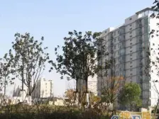 中房樱桃苑3室南朝向1300.00万元/套出售