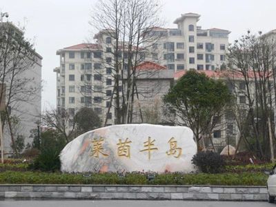 实景图