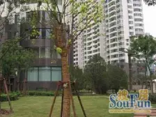 急售 新 正南高区 看江 价格可谈 0岁费 店长推荐