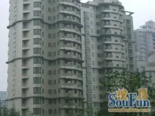 北外滩一线江景房!顶复全视野,景观尽收眼底!带空中花园!