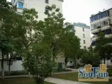 三元一村自住装修 满五唯一36.95平 两南房 全明户型