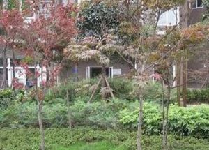 八里阳光3室2厅东