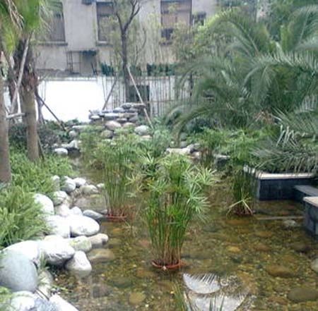 小区相关图