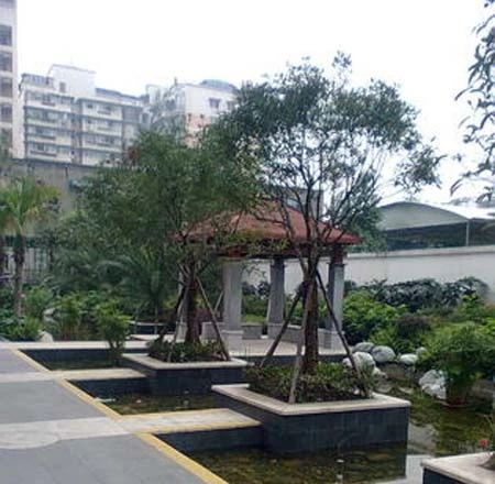 小区相关图