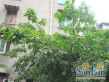 德盛路75号院实景图