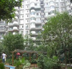 王家塘街6号 2室2厅 东南