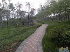 房子装修精致,正规一室一厅,看房方便 业主诚心出售