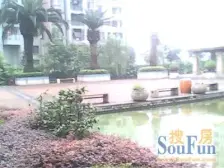 九宫庙 科而士天辰美苑一房20万