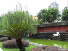 洋河片区 洋河花园四房