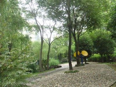 实景图