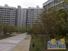 未来域新上两房,总价低,地铁近,看房找我,方便的