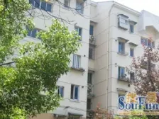 楼层好,户型正气,满五年,税费少