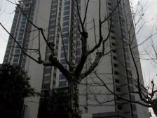 房东诚意出租,看房方便