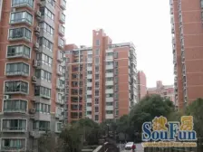 徐汇滨江/西岸+三加一户型+不沿马路+税费各付