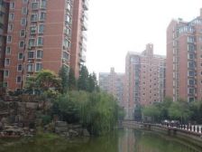 徐汇滨江盛大花园平层两房+四大商场+出门就是地铁