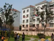 精装修+低楼层+全明户型+美丽家园