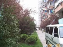 店总推荐新上好房 精装修 诚意出售 一梯两户 南北通