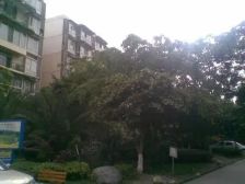 水岸格林 2室2厅 南