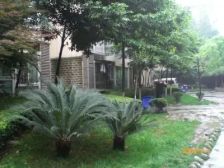 水岸格林 3室1厅 南