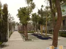 近地铁,精装,无抵押 必看好房