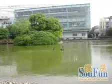 近地铁 产权清晰,无抵押,中间楼层 热销好房