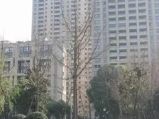 法式小高层,南北通透,品质小区,精装修,24小时管家服务