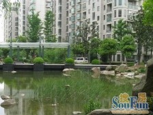 11,15号线双轨交900米,晋元附校旁,双南2房!有露台