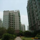 板式大三房+园林式景观俯瞰康健+人车分流+地下车位