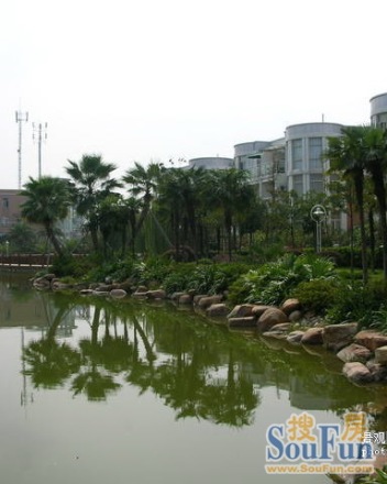 美好愿景汀香水榭实景图