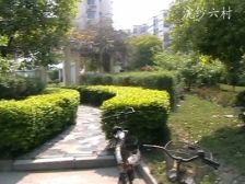 近黄兴公园+近地铁+小区环境整洁+产权清晰+低总价