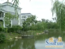 精装 采光好,随时看房,急售房源