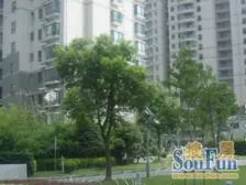 金轩大邸2室东朝向998.00万元/套出售