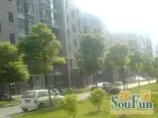 刚需上车 电梯房,新上房源