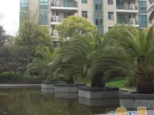 水清木华出好位置的3+1房南北通透飞机户型